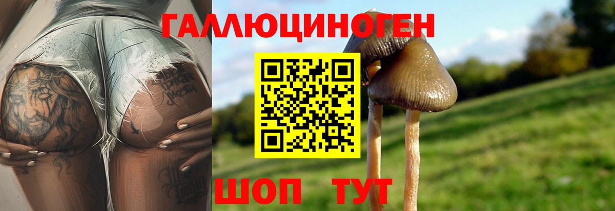 Псилоцибиновые грибы ЛСД Железноводск